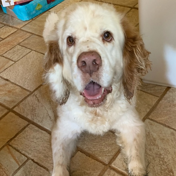 Meet your Posher, Jennifer - Picture 2 of 3